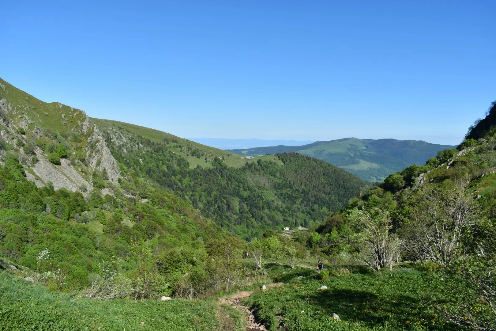 Sentier pédestre dans les Hautes-Vosges