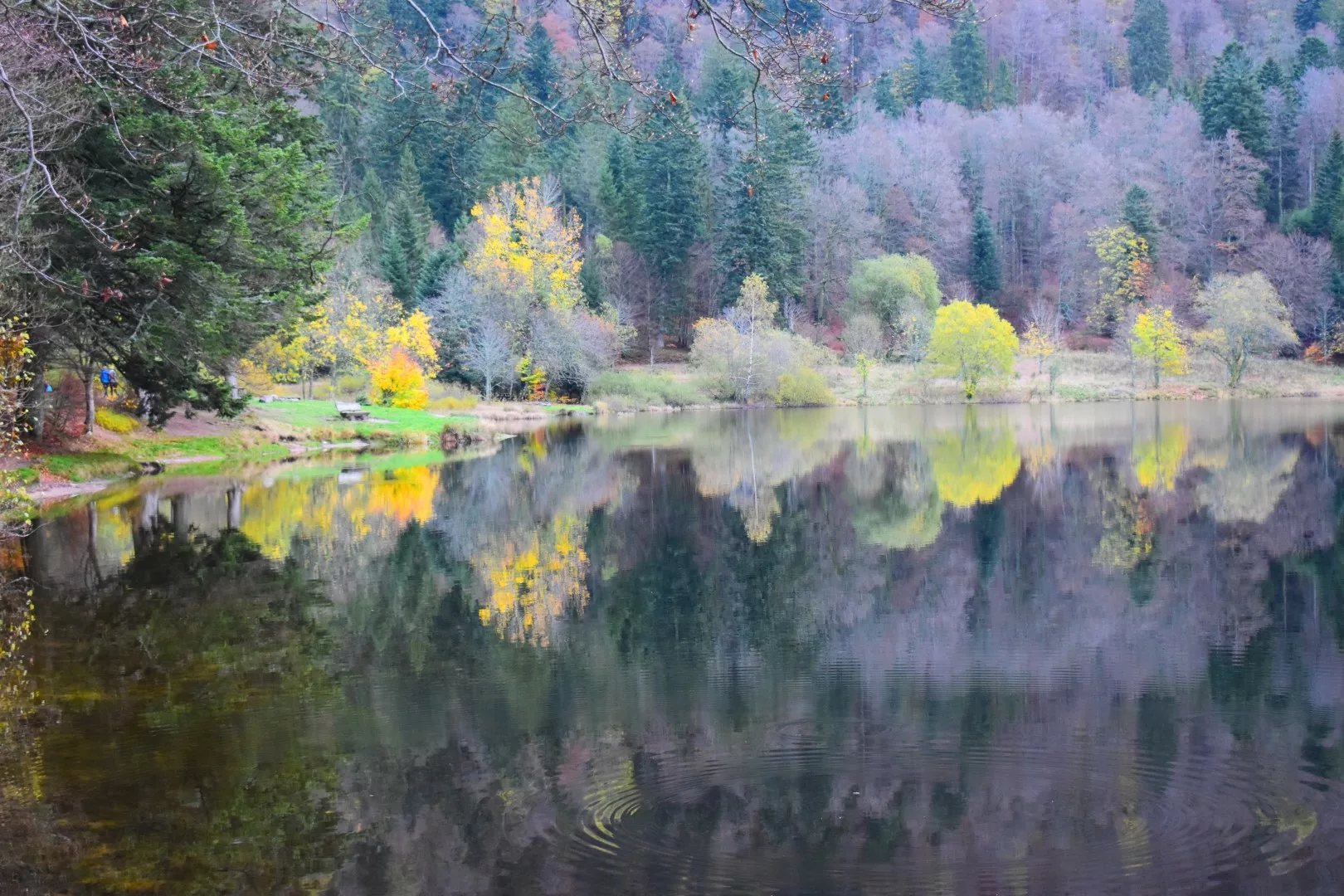 lac vosgien en automne