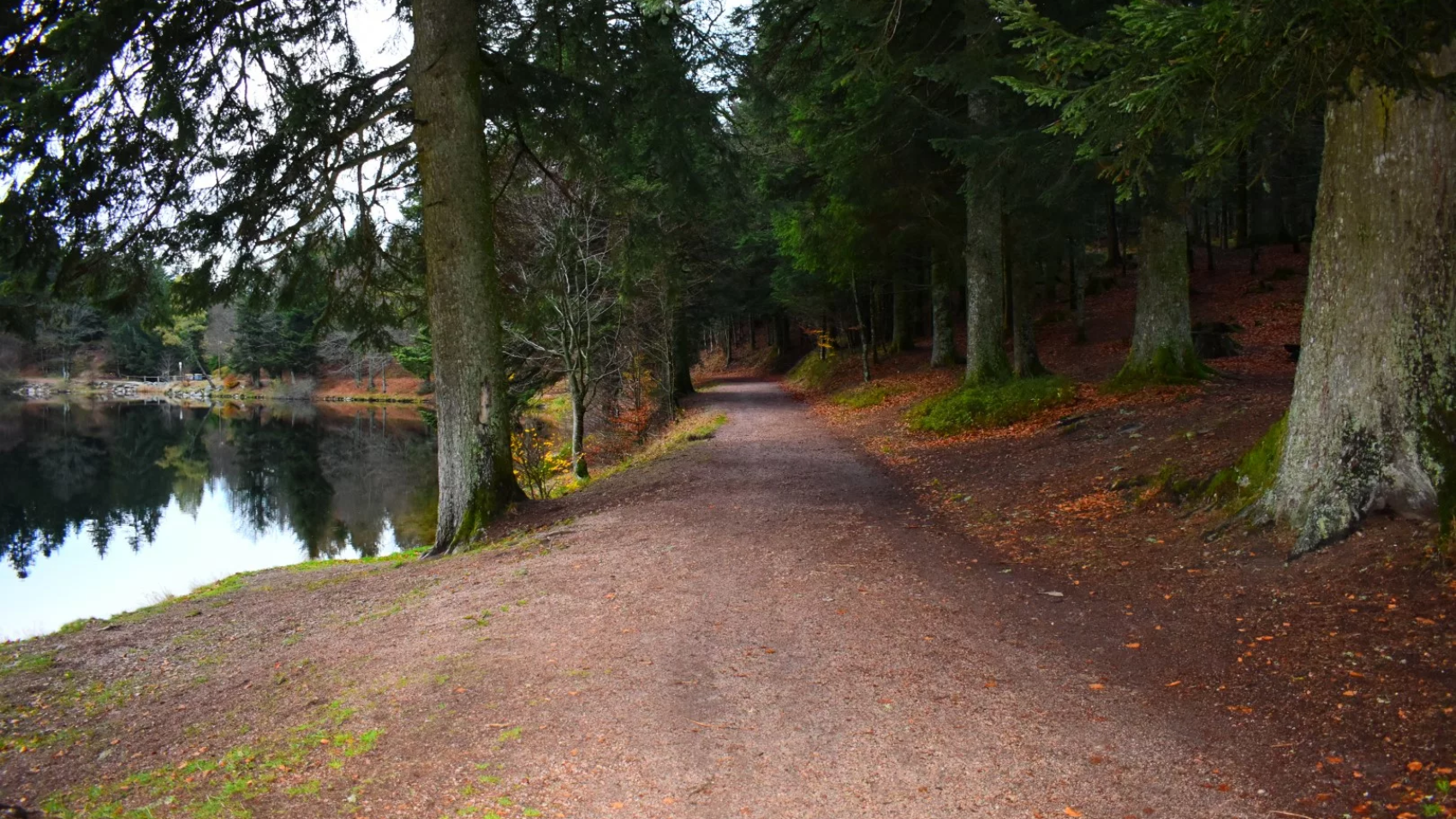 vacances dans les Vosges en automne