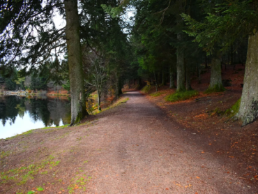 vacances dans les Vosges en automne