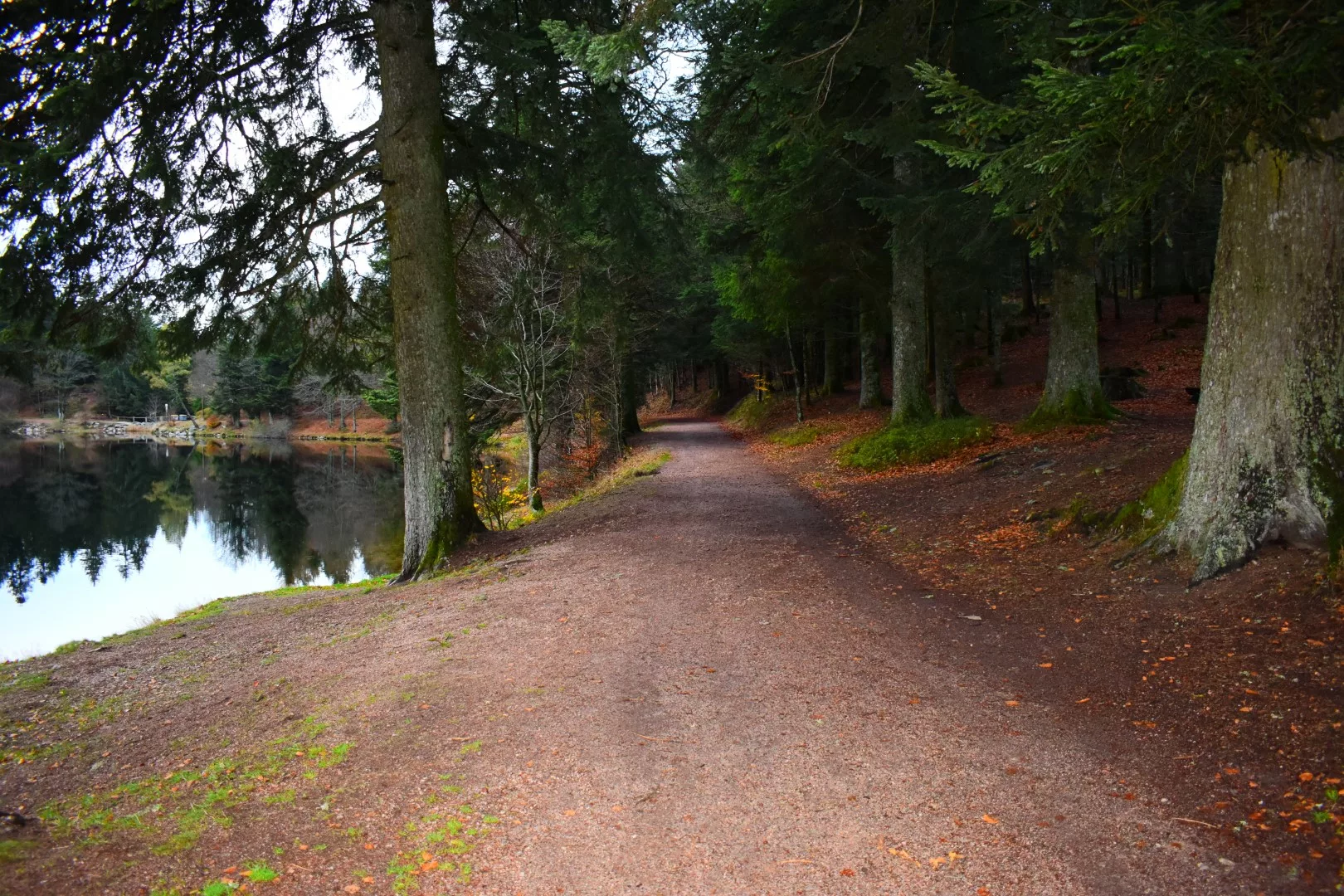 vacances dans les Vosges en automne