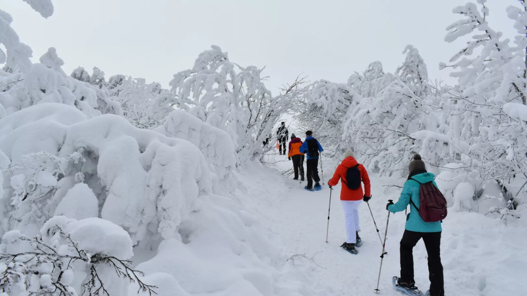 randonnée raquettes dans les Vosges