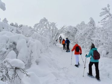 randonnée raquettes dans les Vosges