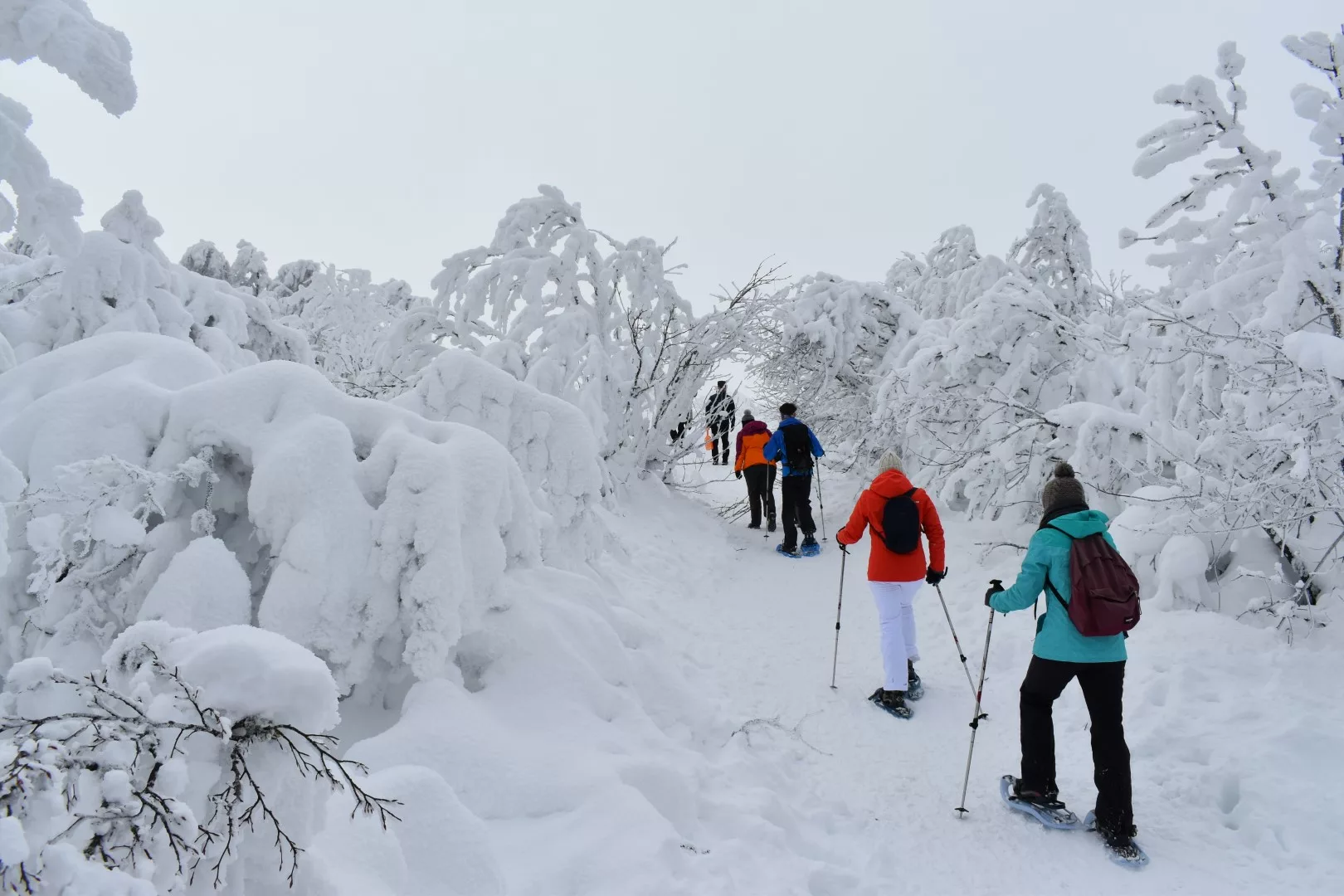 randonnée raquettes dans les Vosges