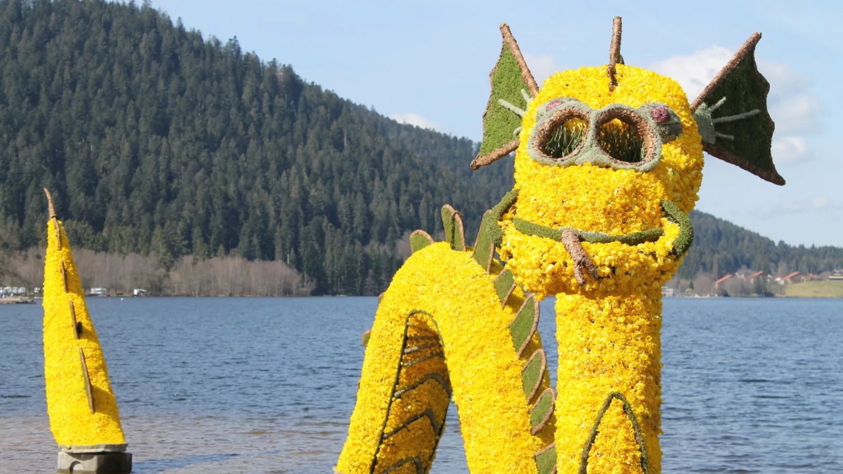 fête des jonquilles au lac de Gérardmer