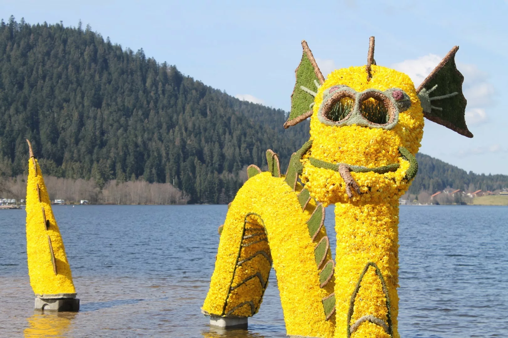 fête des jonquilles au lac de Gérardmer