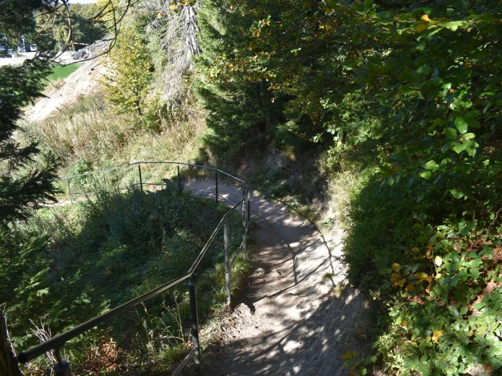 Le sentier qui mène notamment aux rochers de Hirschteine